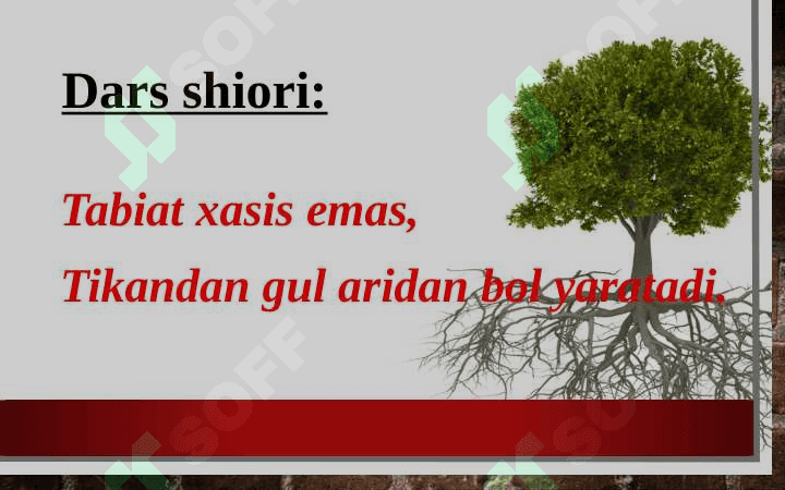 Qushlarning ko’payishi, rivojlanishi va kelib chiqishi mavzusidagi 1 soatlik dars ishlanma taqdimoti 2