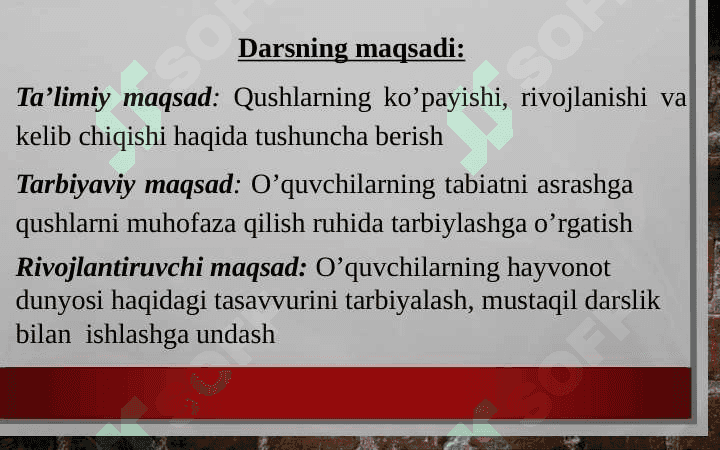 Qushlarning ko’payishi, rivojlanishi va kelib chiqishi mavzusidagi 1 soatlik dars ishlanma taqdimoti 3