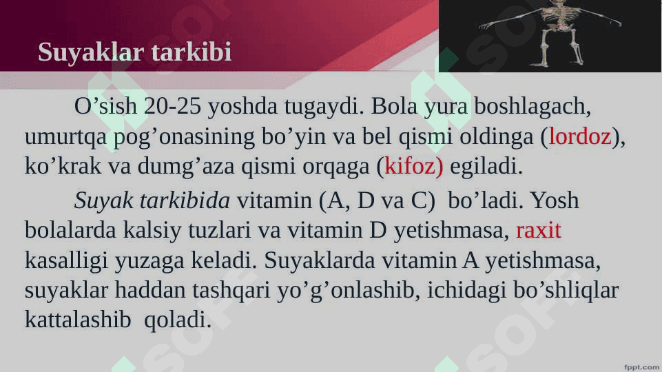 Mavzu :Harakat tayanch tizimi 5