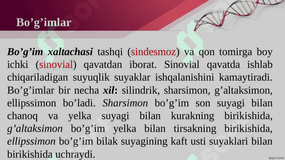 Mavzu :Harakat tayanch tizimi 8