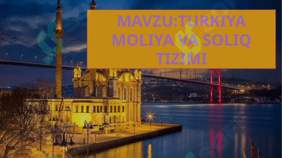 TURKIYA MOLIYA VA SOLIQ TIZIMI 2