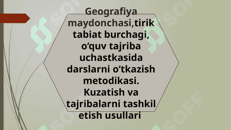 Geografiya maydonchasi, tirik tabiat burchagi, o‘quv tajriba uchastkasida darslarni o‘tkazish metodikasi. Kuzatish va tajribalarni  tashkil etish usullari 2