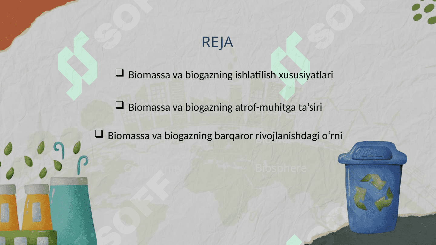 Biomassa va biogazning atrof muhitga ta`siri va barqarorlikka tasiri 3