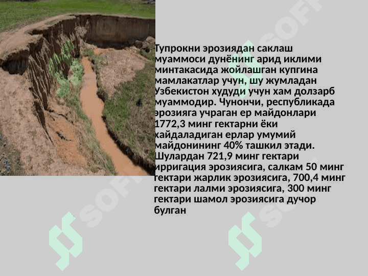 O‘zbekistonda buzilgan yerlar melioratsiyasi 3