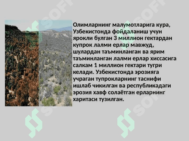O‘zbekistonda buzilgan yerlar melioratsiyasi 4