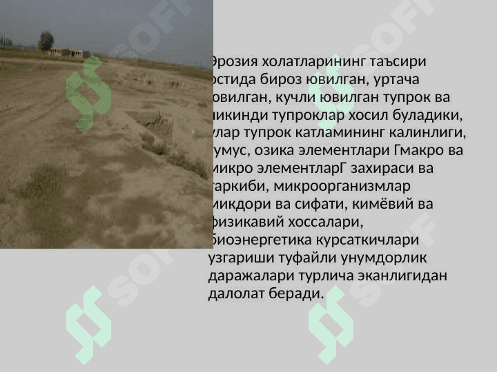 O‘zbekistonda buzilgan yerlar melioratsiyasi 5