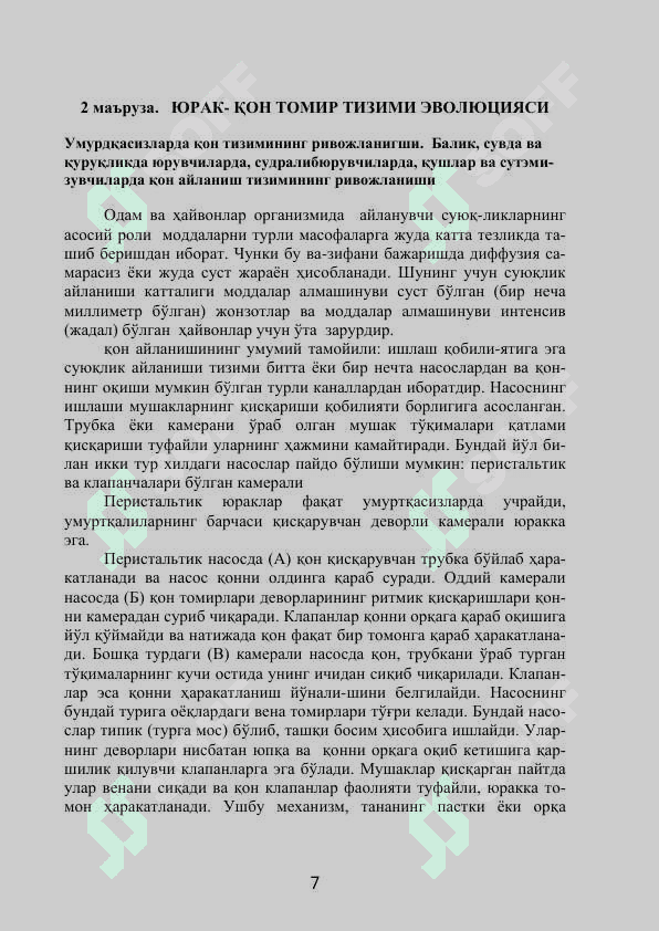 Qon tomir tizimi 7