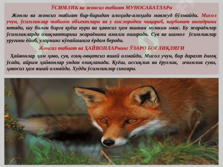 ЛАНДШАФТ АТРОФ МУҲИТНИНГ БИР ҚИСМИ СИФАТИДА. 8