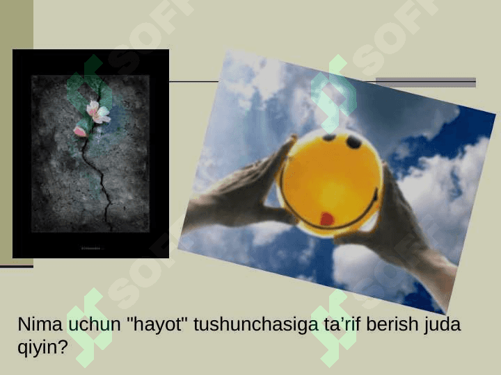 HAYOT MOHIYATI VA TIRIKLIKNING XUSUSIYATLARI MAVZUSIDA TAYYORLAGAN TAQDIMOTI 2