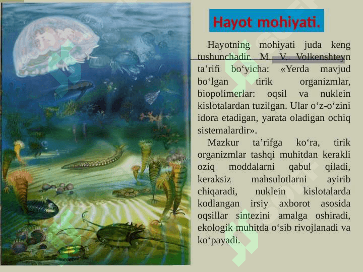 HAYOT MOHIYATI VA TIRIKLIKNING XUSUSIYATLARI MAVZUSIDA TAYYORLAGAN TAQDIMOTI 3