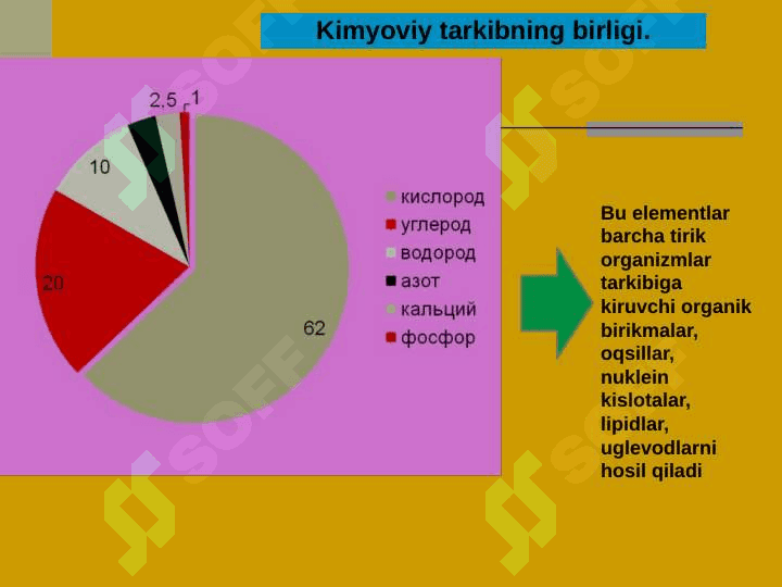 HAYOT MOHIYATI VA TIRIKLIKNING XUSUSIYATLARI MAVZUSIDA TAYYORLAGAN TAQDIMOTI 4