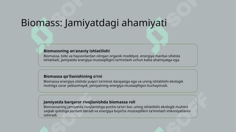 Biomassa.Global isish 3