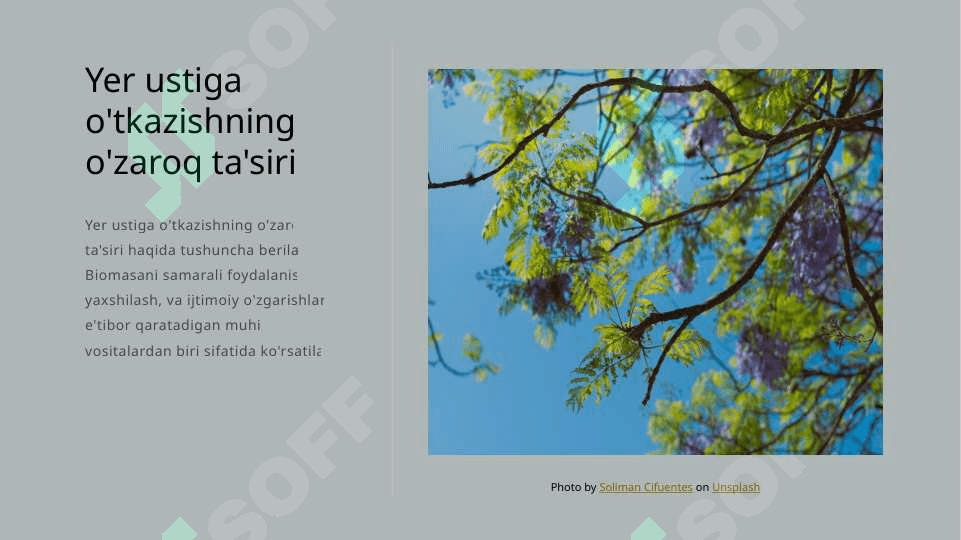 Biomassa.Global isish 4