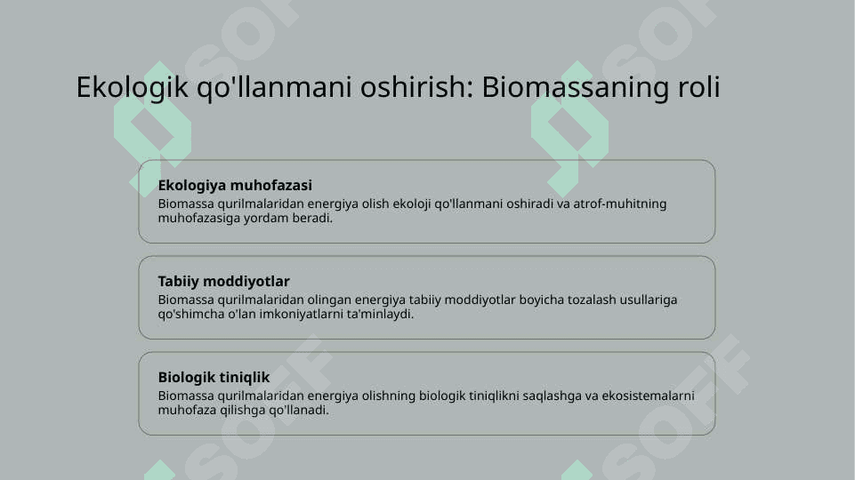 Biomassa.Global isish 5