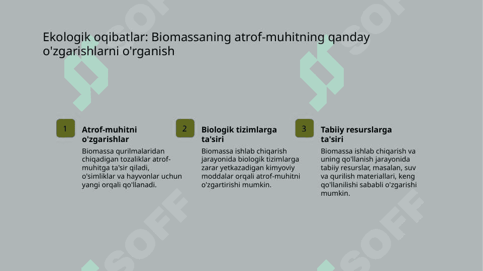 Biomassa.Global isish 7