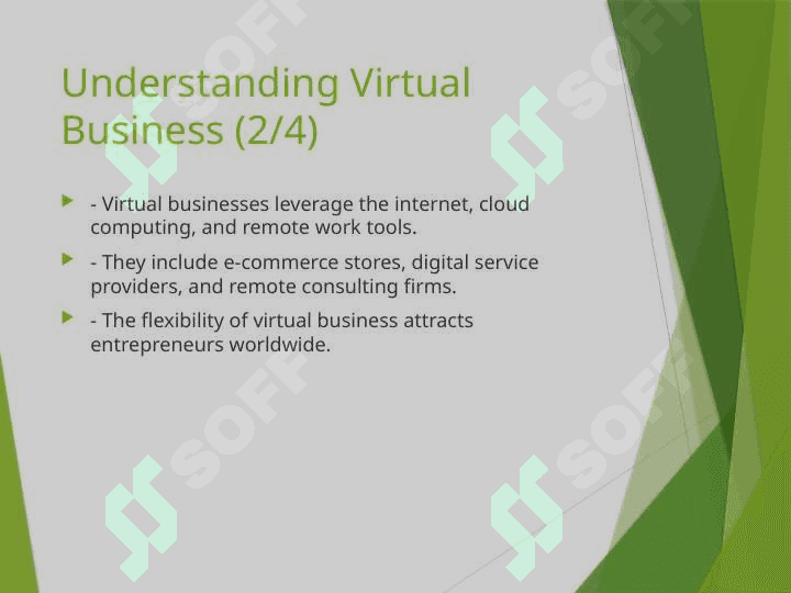 VIRTUAL BUSINESS 5