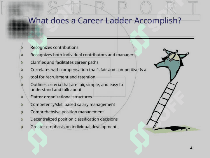 The Career Ladder 4
