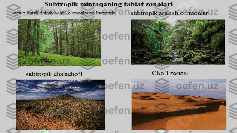Issiqxona samarasi  va iqlimiy muammalar 4
