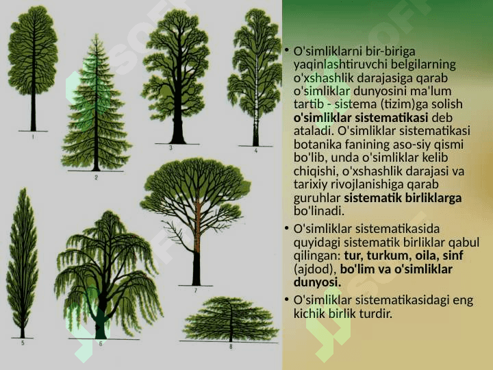 O'SIMLIKLAR SISTEMATIKASI HAQIDA TUSHUNCHA 2