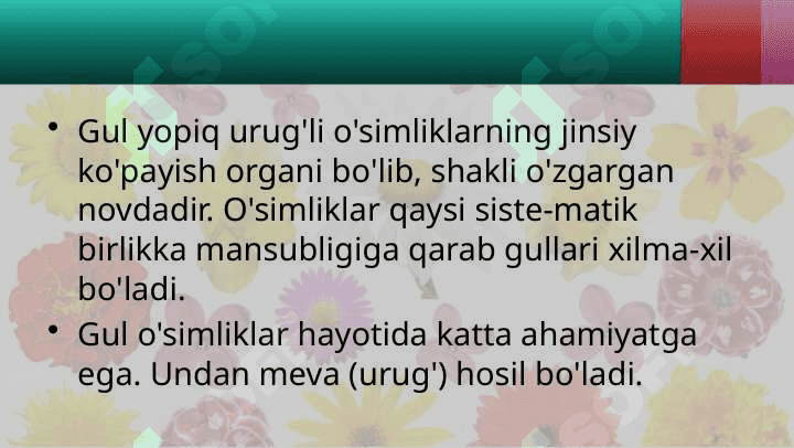 GULI - O'SIMLIKLARNING GENERATIV KO'PAYISH ORGANI 2