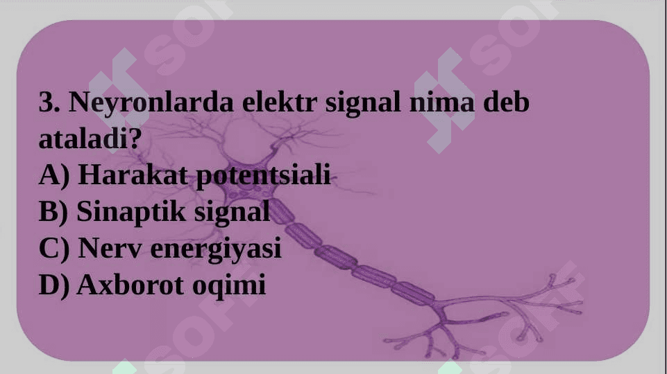Informatsiyani kodlash mexanizmlari 5