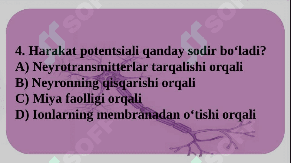 Informatsiyani kodlash mexanizmlari 6