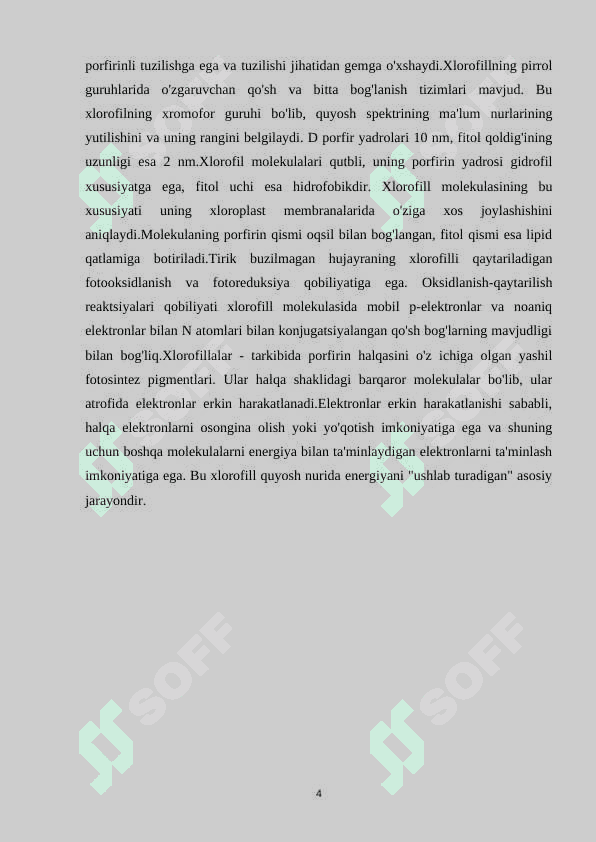 “BARG PIGMENTLARI” 4