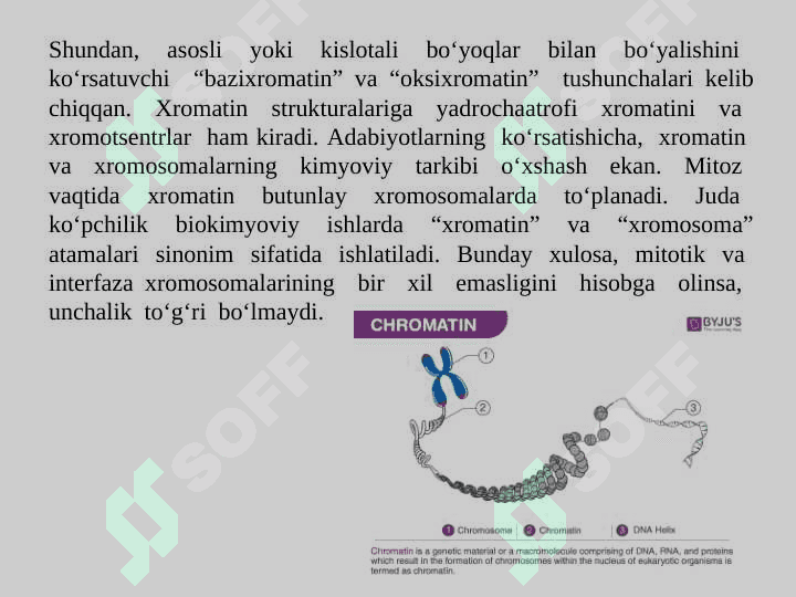 Xromatin va uning funksiyalari. Xrosomalarning mutsiyalarga uchrashi va uning oqibatlari 3
