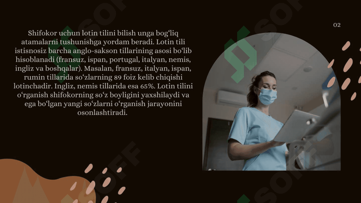 Moslashmagan aniqlovchi ishtirokida anatomik terminlar 7