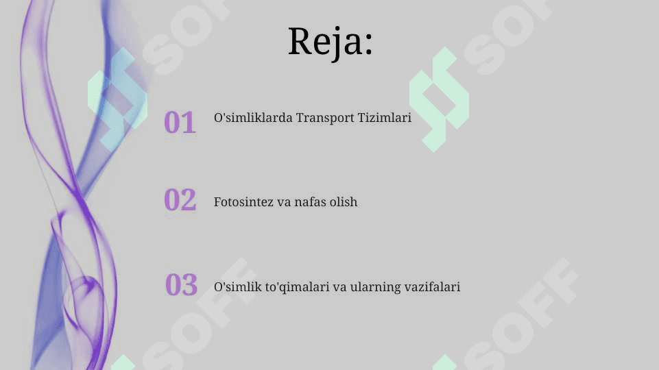O‘simliklar anatomiyasi va fiziologiyasi 2