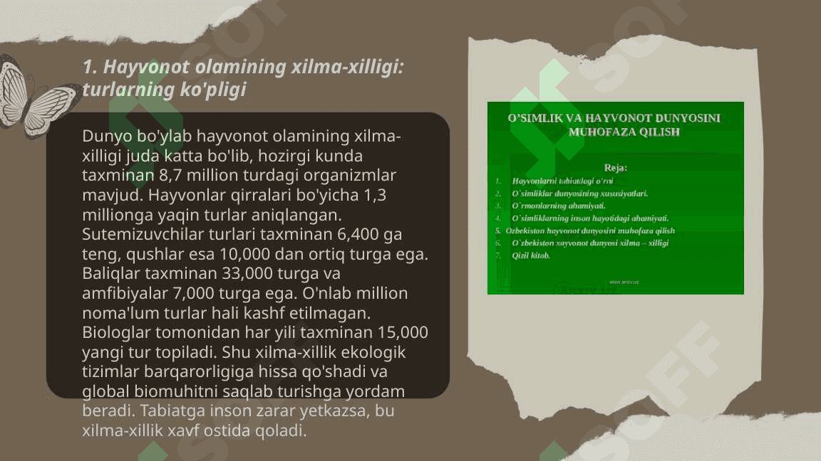 Hayvonot olamining xilma xilligi va uning tabiatda tutgan o‘rni 3