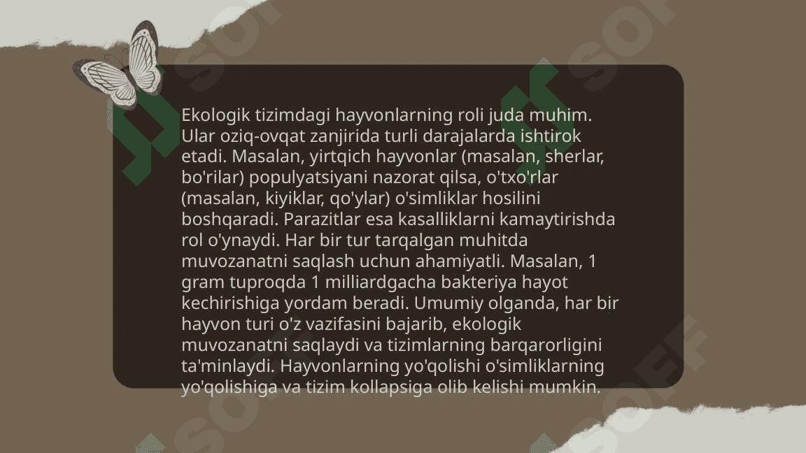 Hayvonot olamining xilma xilligi va uning tabiatda tutgan o‘rni 4