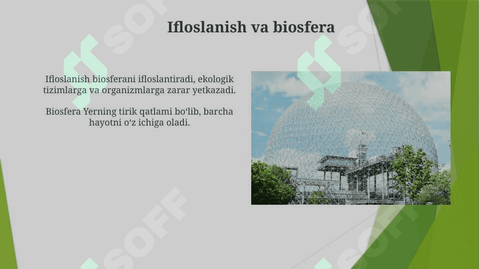Yerning geografik qobig‘i. Biosfera. 4