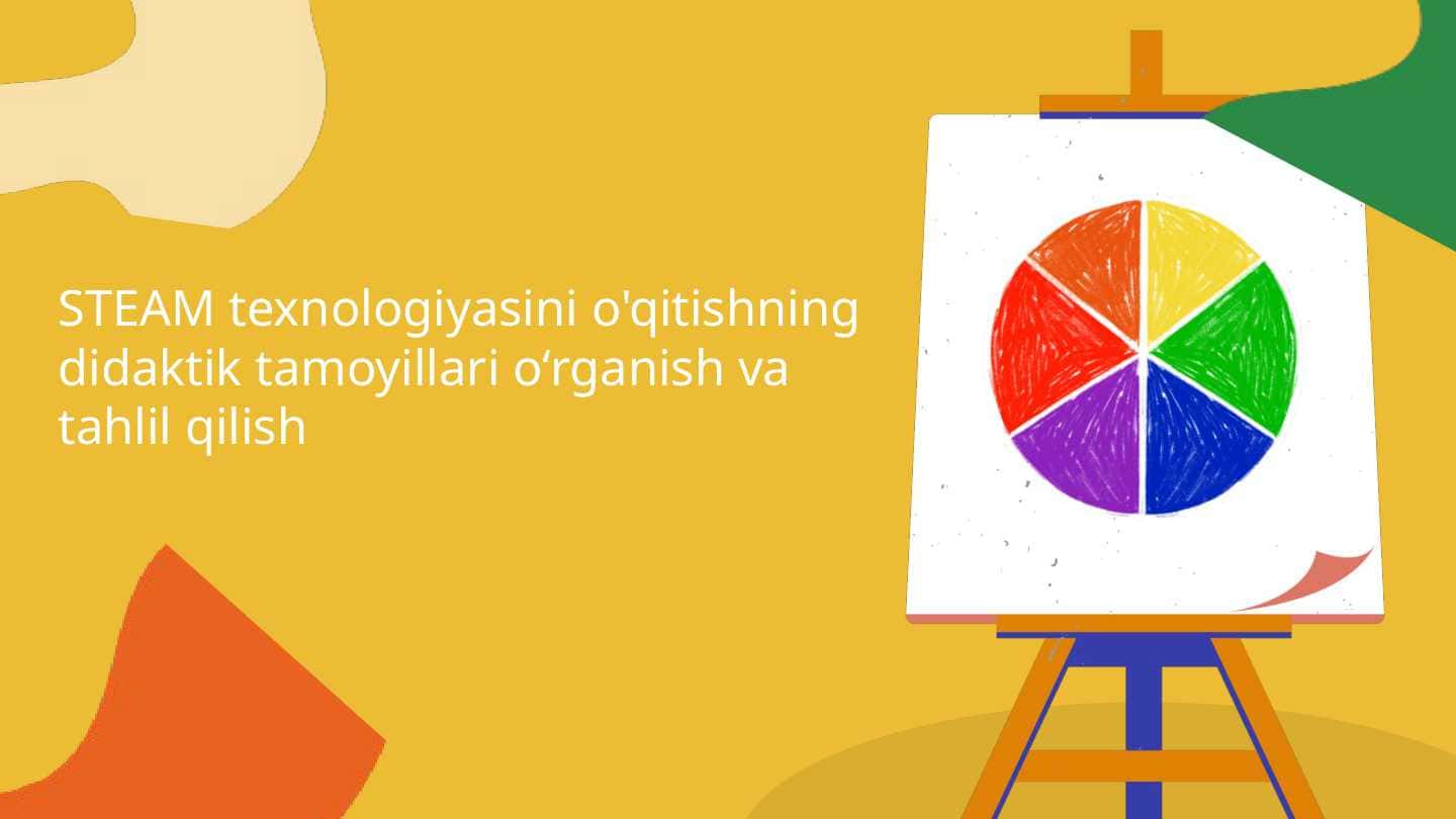 STEAM texnologiyasini o'qitishning didaktik tamoyillari o‘rganish va tahlil qilish