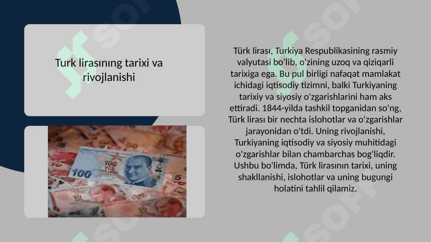 Turkiya pul birligi lira haqida» 4