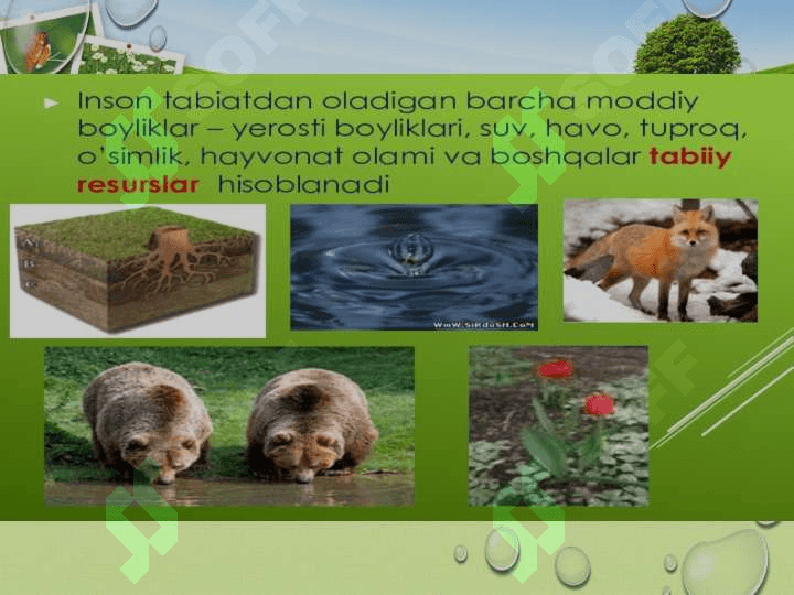 YASHIL IQTISODIYOTGA О‘TISHNING ZARURIYATI, TAMOYILLARI VA DASTAKLARI 3