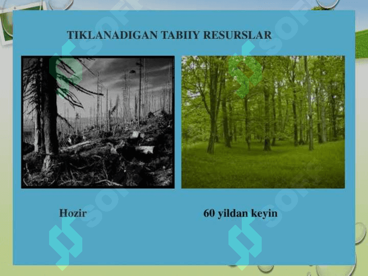 YASHIL IQTISODIYOTGA О‘TISHNING ZARURIYATI, TAMOYILLARI VA DASTAKLARI 6