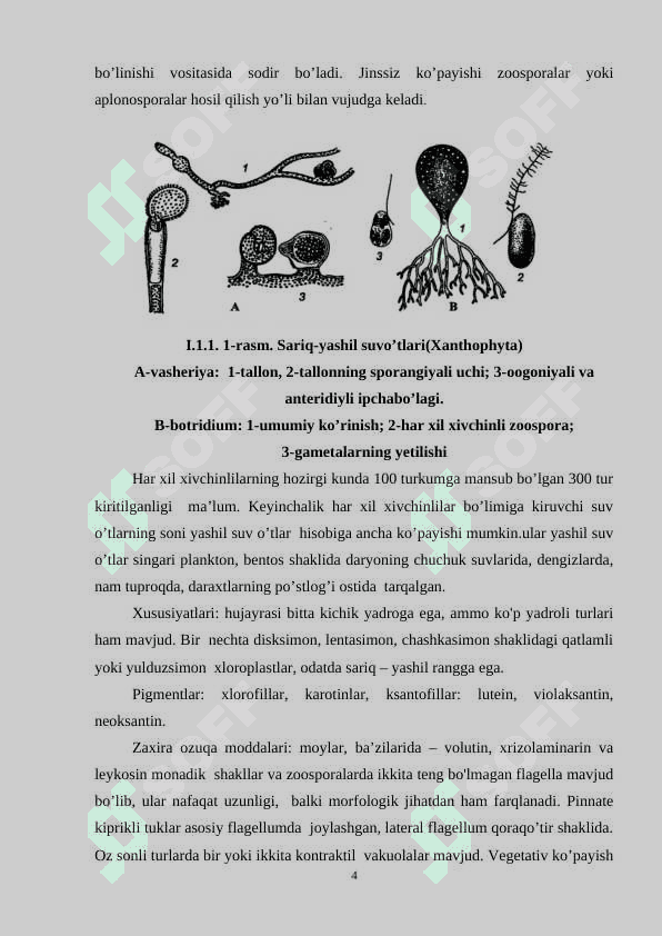 SARIQ-YASHIL SUVOTLARNING UMUMIY TASNIFI KURS ISHI 4