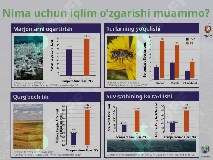 Iqlim o’zgarishi 8