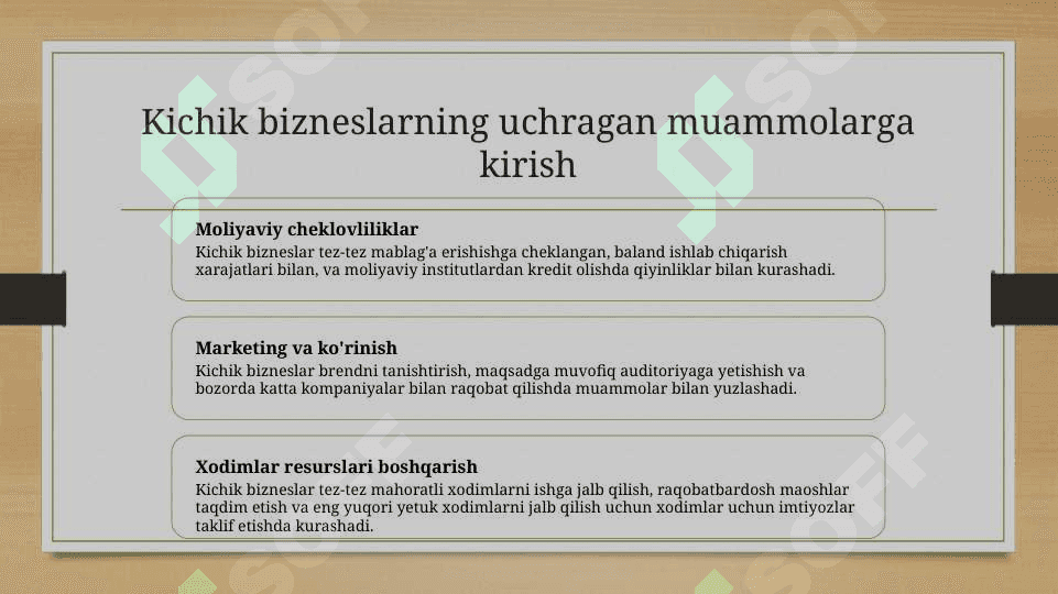 Kichik biznesning muammolari va ularni hal qilish yo'llari 2