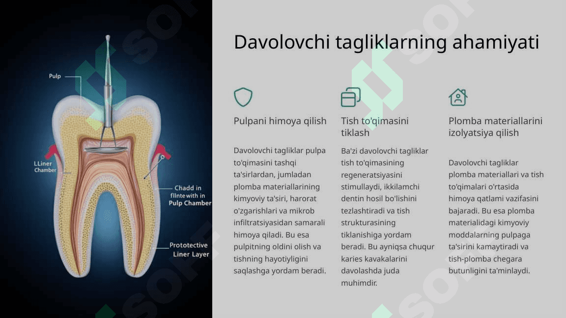 Davolovchi tagliklar. Turlari, xususiyatlari. 2