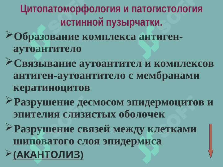 Пемфигоид (этиология, патогенез, клинические проявления, диагностика) 6