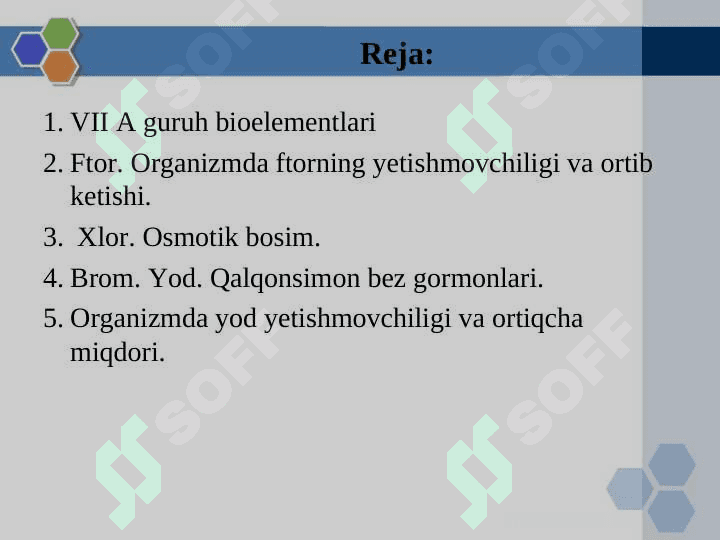 VII A guruh bioelementlari 2