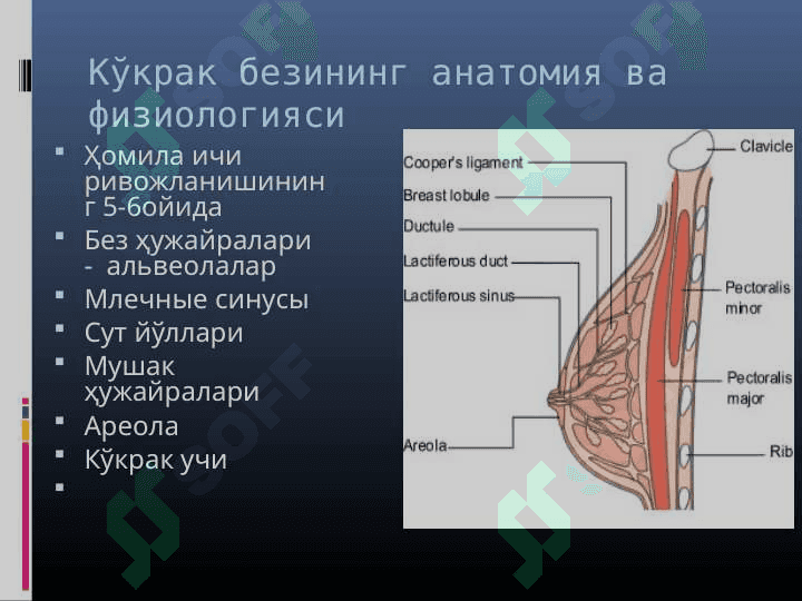 Ona suti tarkibi va uni bola o'sishidagi ahamiyati . Ona sutini va qo'shimcha ovqatni taqqoshlash 4