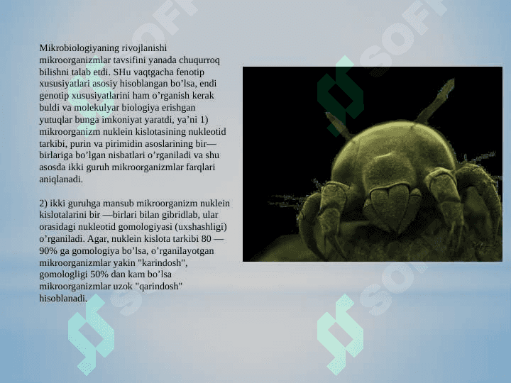 MIKROORGANIZMLARNI  ZAMONAVIY  SISTEMATIKASI 4