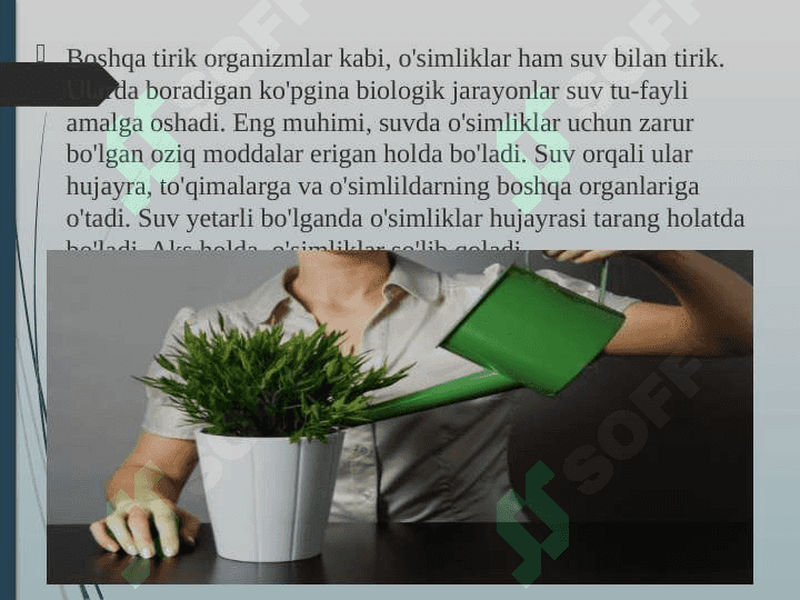 “O`simliklarning mineral oziqlanishi” 5