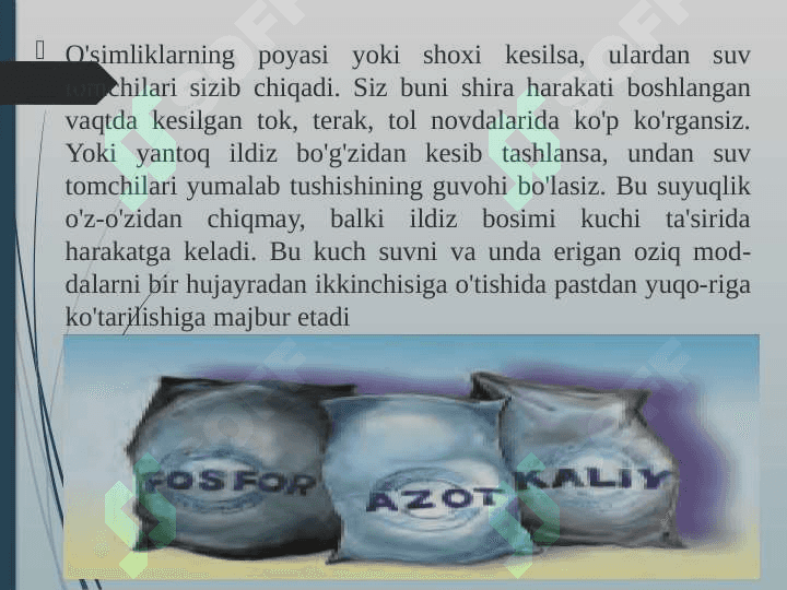“O`simliklarning mineral oziqlanishi” 6