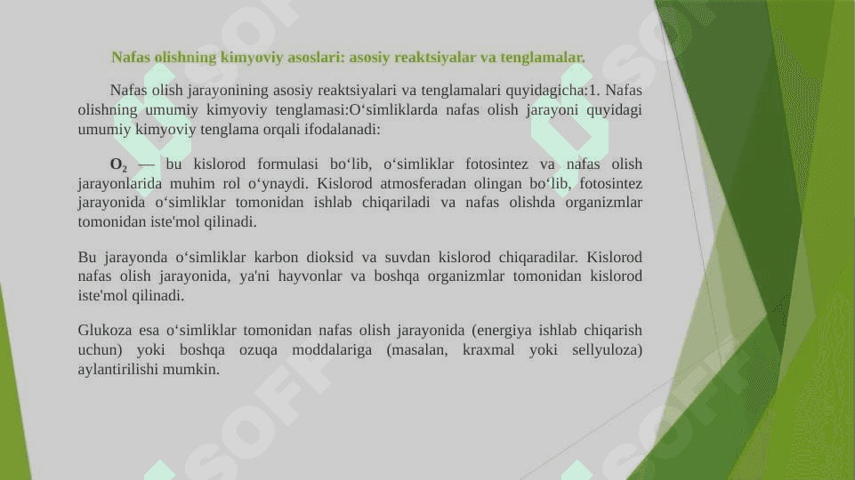 O`simliklarning nafas olishi 6