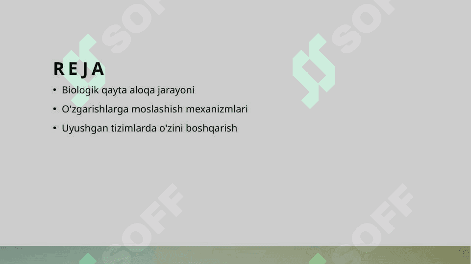 Biologik qayta aloqa 2
