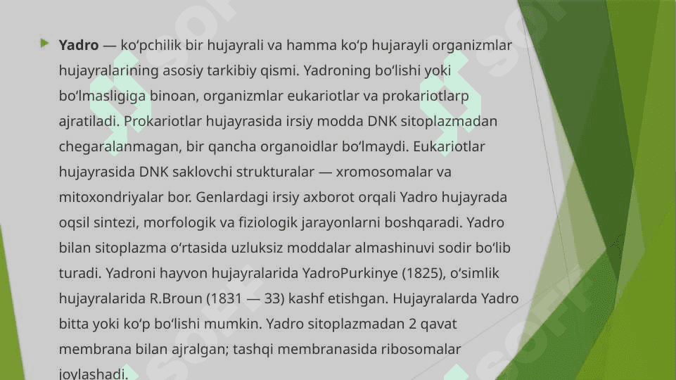 Hujayra yadrosi 2